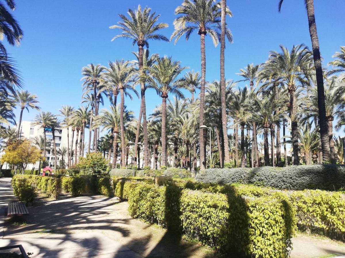 Santa Pola Salamanca 10 Apartamento, Garaje Subterraneo, Fibra Optica, Lavavajillas, Aire Acondicionado, Gran Terraza, Grand Playa 450M Dış mekan fotoğraf