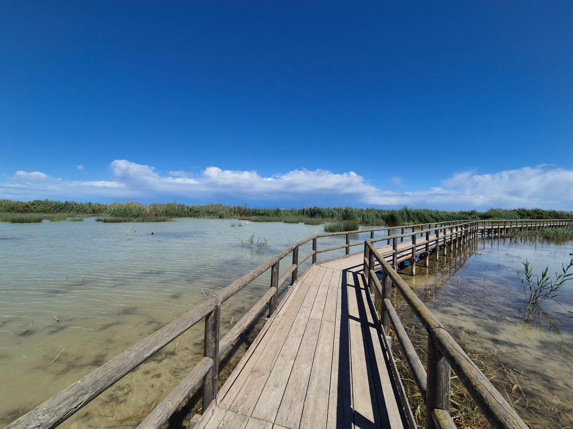 Santa Pola Salamanca 10 Apartamento, Garaje Subterraneo, Fibra Optica, Lavavajillas, Aire Acondicionado, Gran Terraza, Grand Playa 450M Dış mekan fotoğraf